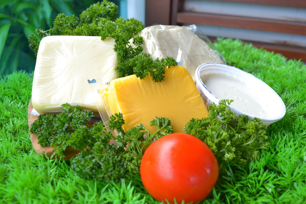 queso2
