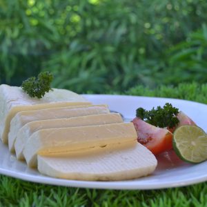 QUESILLO